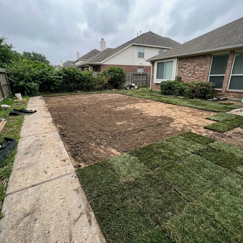 after - High Water Table Removal - Houston, TX