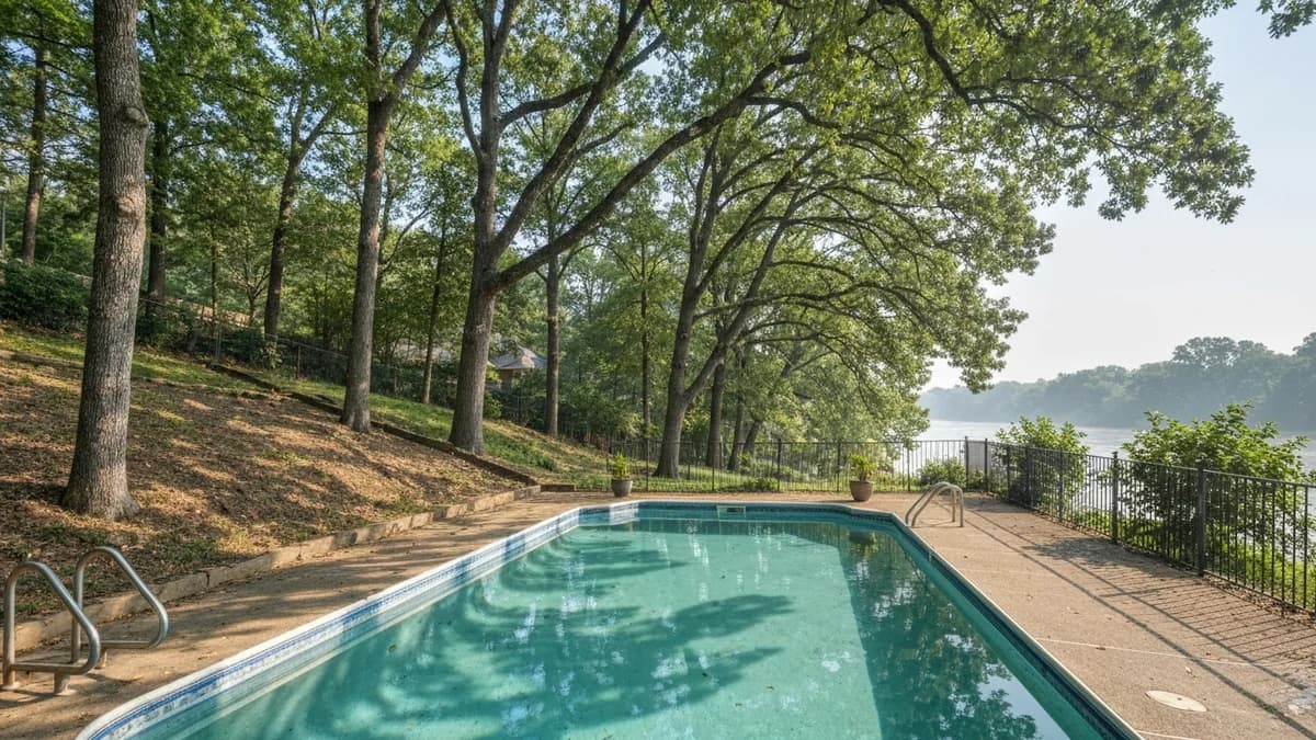Before pool removal in Memphis