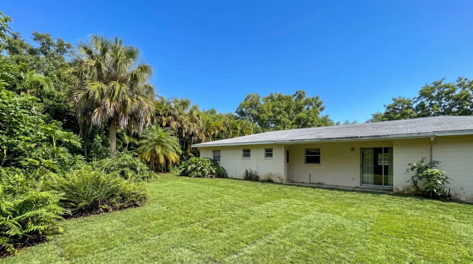 after - Coastal Sand Backfill - Tampa, FL